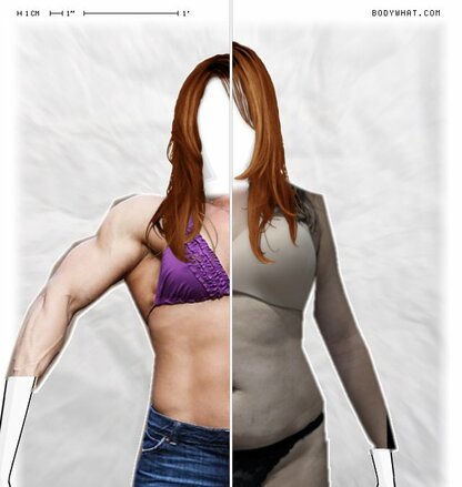 Torso Comparison