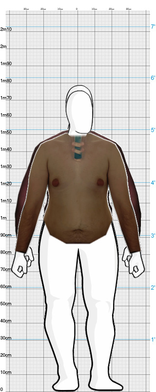 Full Size Comparison