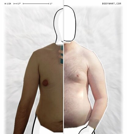 Torso Comparison