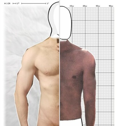 Torso Comparison