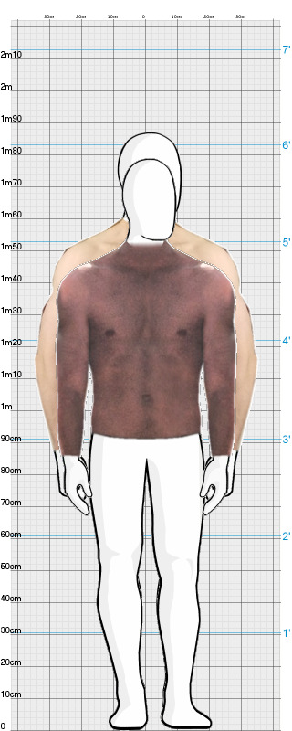 Full Size Comparison