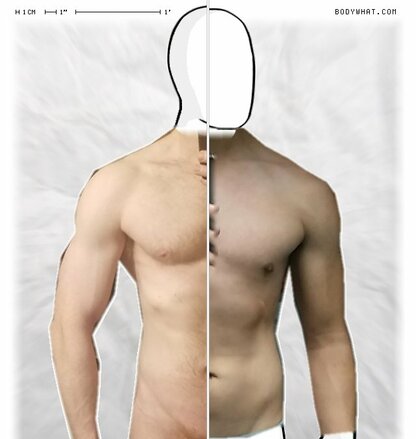 Torso Comparison