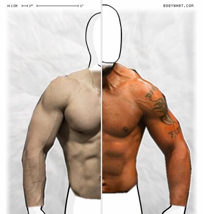 Torso Comparison