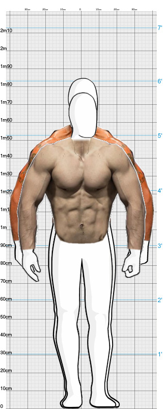 Full Size Comparison