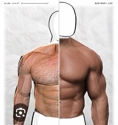 Torso Comparison