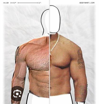 Torso Comparison