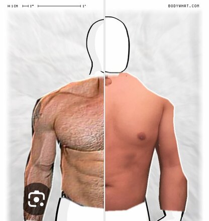 Torso Comparison