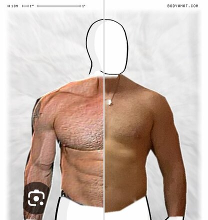 Torso Comparison