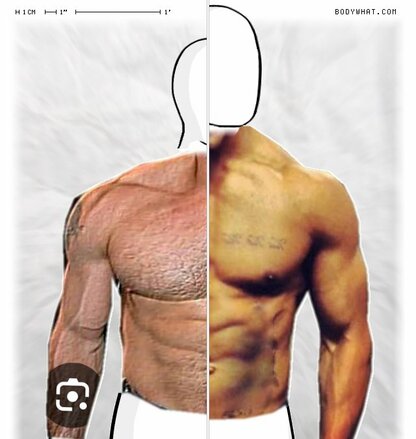 Torso Comparison