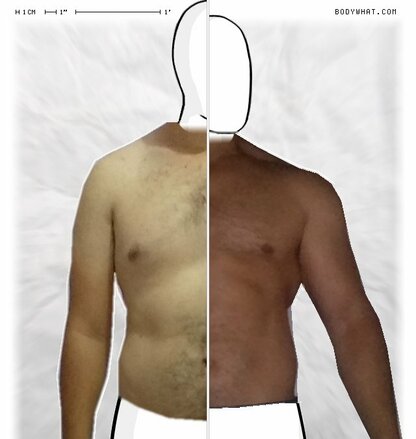 Torso Comparison