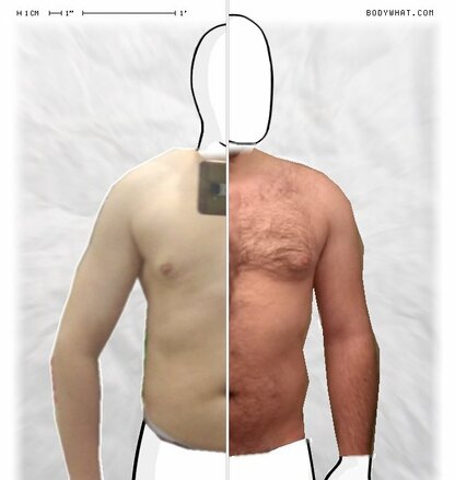 Torso Comparison