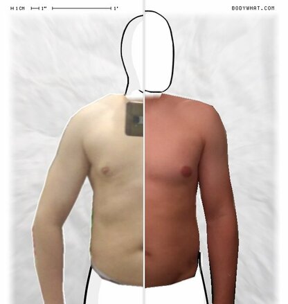 Torso Comparison