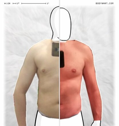 Torso Comparison