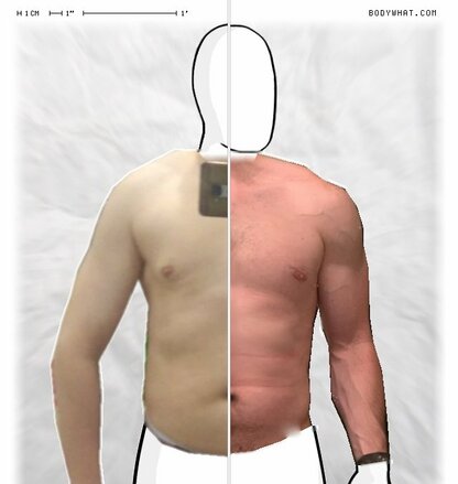 Torso Comparison