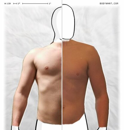 Torso Comparison
