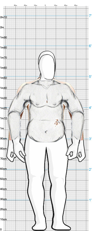 Full Size Comparison