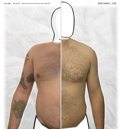 Torso Comparison