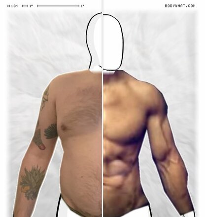 Torso Comparison