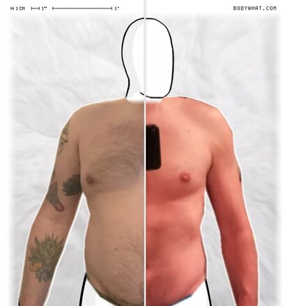 Torso Comparison