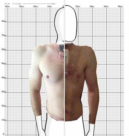 Torso Comparison