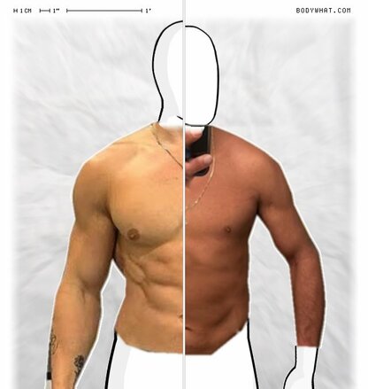 Torso Comparison