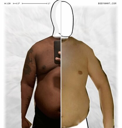Torso Comparison