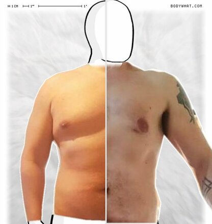 Torso Comparison