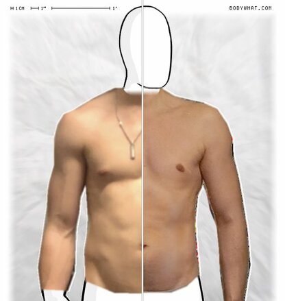 Torso Comparison