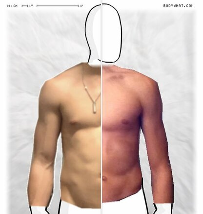 Torso Comparison