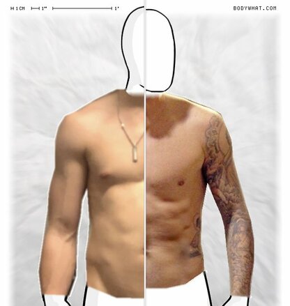 Torso Comparison