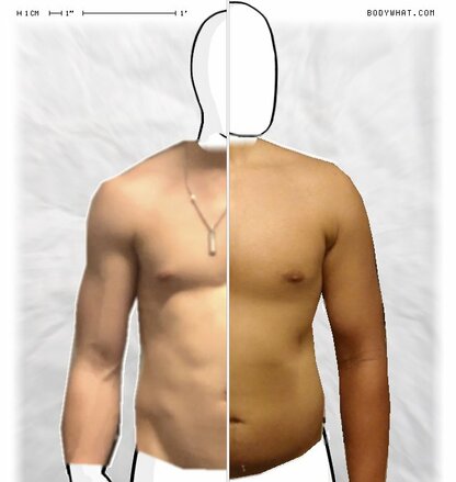 Torso Comparison