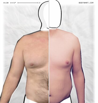 Torso Comparison