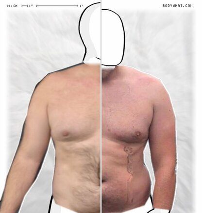 Torso Comparison