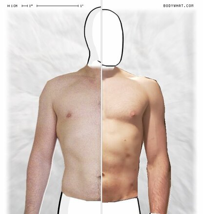 Torso Comparison