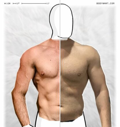 Torso Comparison