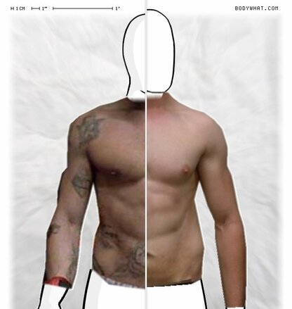 Torso Comparison