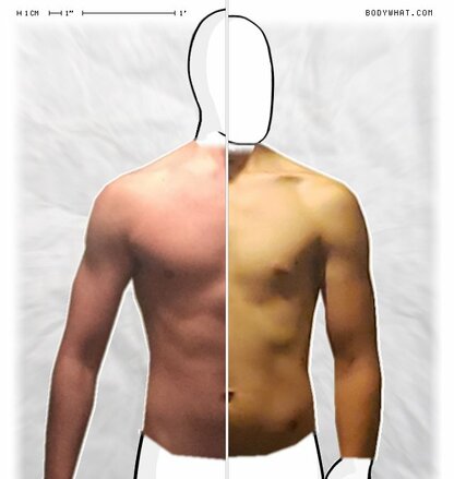 Torso Comparison