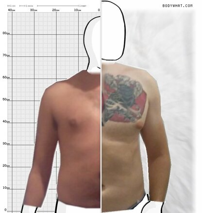 Torso Comparison