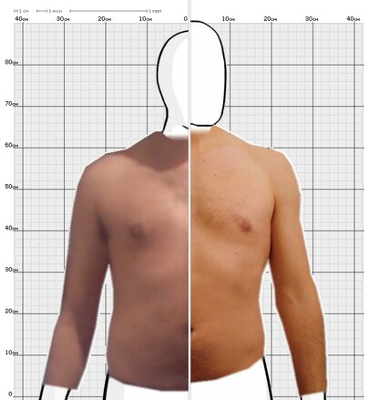 Torso Comparison