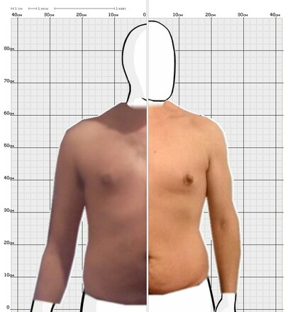 Torso Comparison