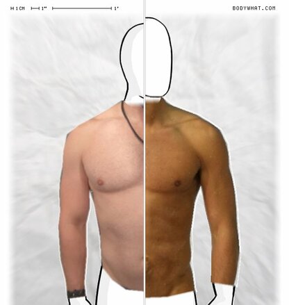 Torso Comparison