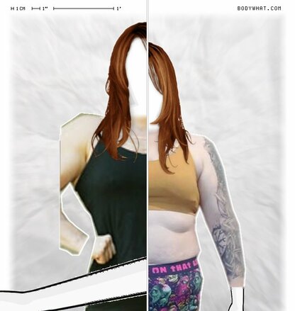 Torso Comparison