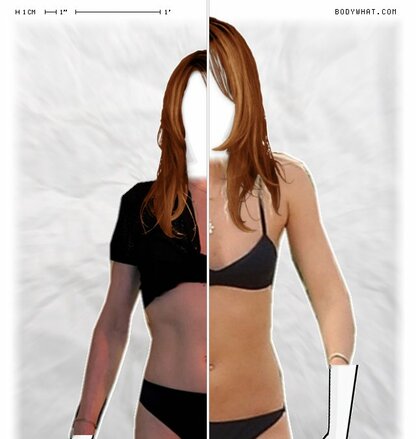 Torso Comparison