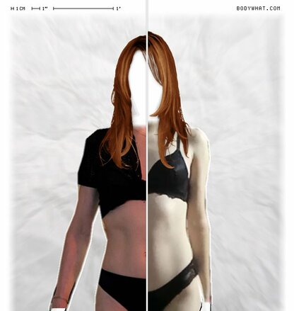 Torso Comparison