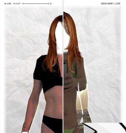 Torso Comparison