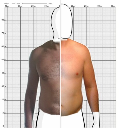 Torso Comparison