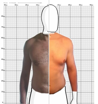 Torso Comparison