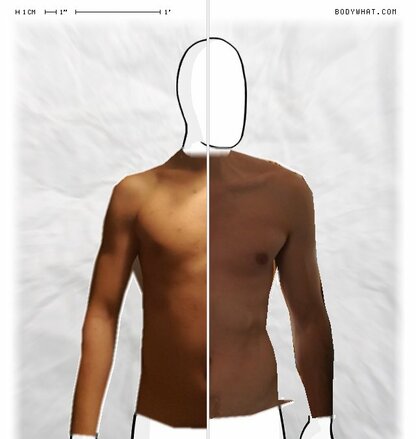Torso Comparison