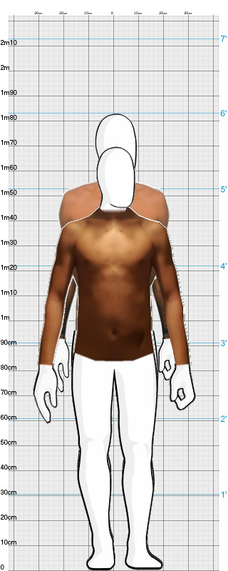 Full Size Comparison