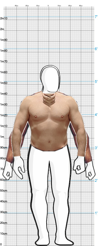 Full Size Comparison